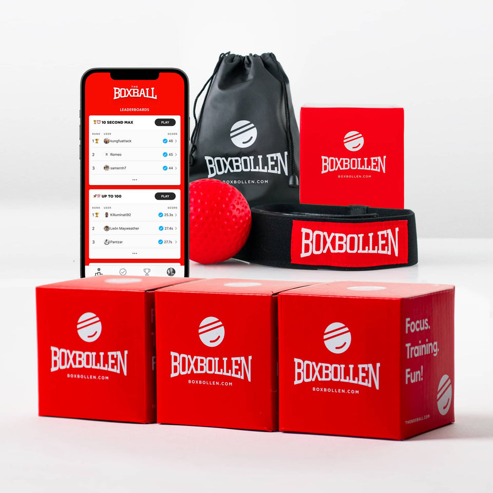 The Boxball DE Boxbollen Family Pack